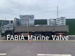 FABIA মেরিন ভ্যালভ