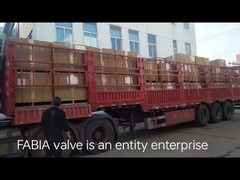 FABIA ভ্যালভ